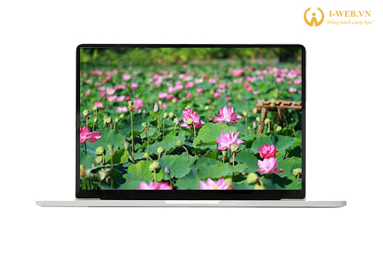 THIẾT KẾ WEBSITE ĐỒNG THÁP