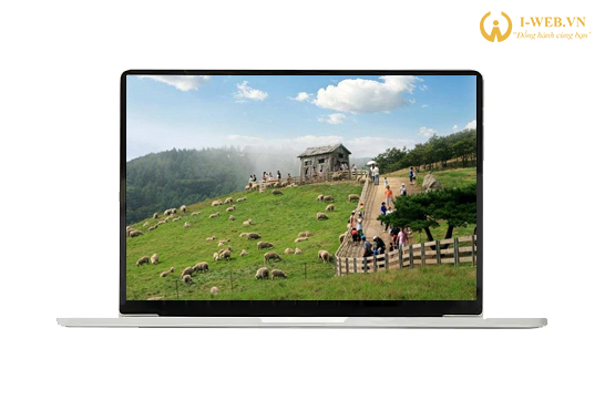 THIẾT KẾ WEBSITE TRANG TRẠI