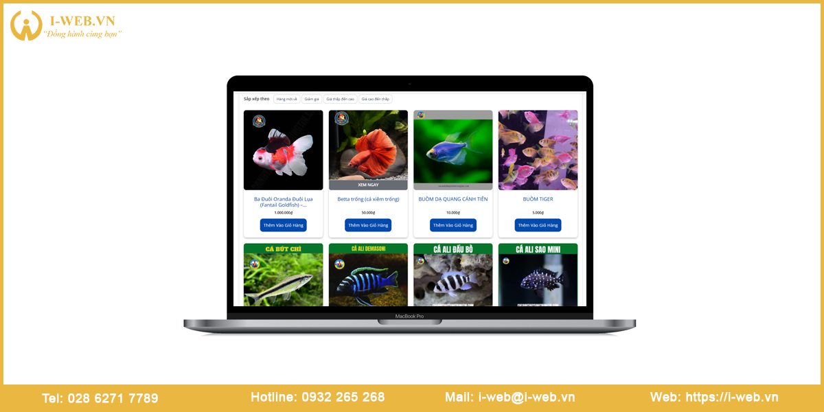 Lưu ý thiết kế web cá cảnh